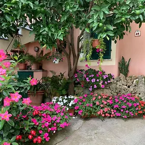 Orchidea Finale Ligure